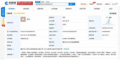 愛奇藝在重慶成立科技公司，拓展創業空間與信息系統集成服務